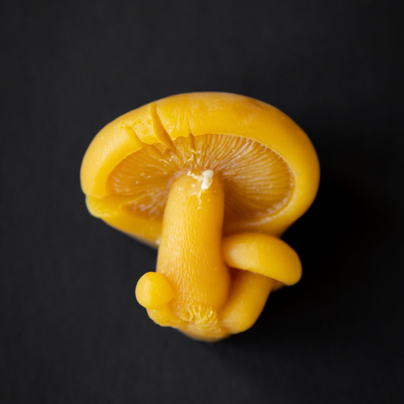 Mellowstone Mushroom