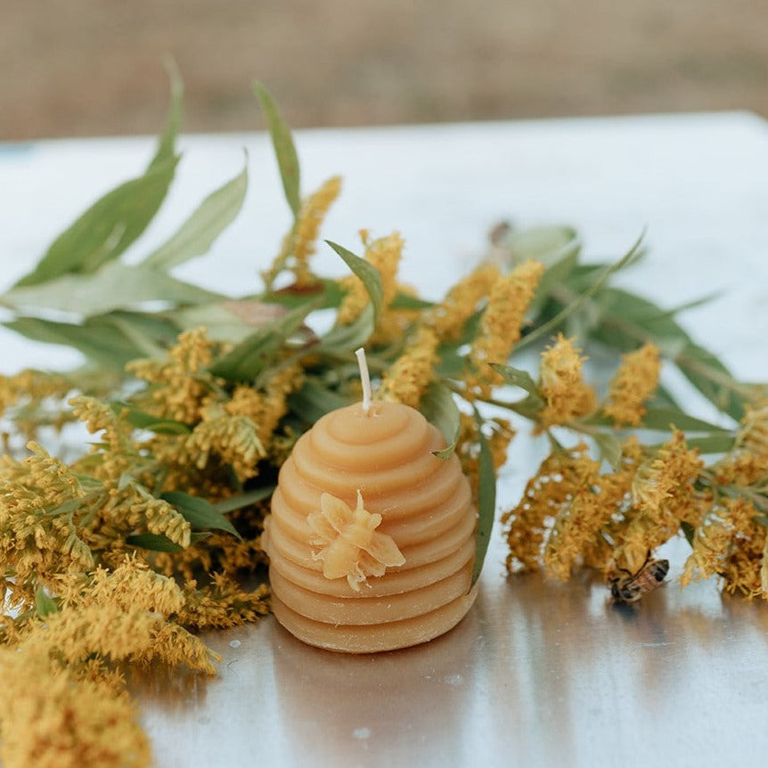 Honey Hive