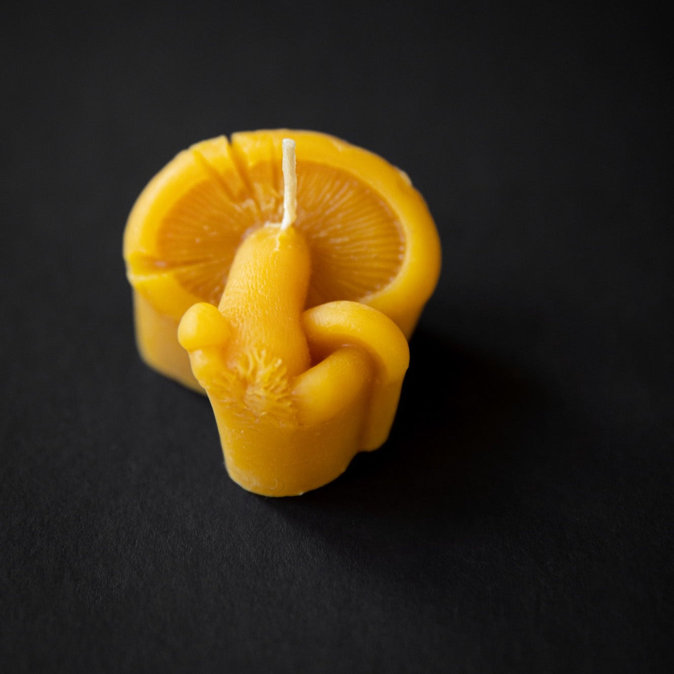 Mellowstone Mushroom