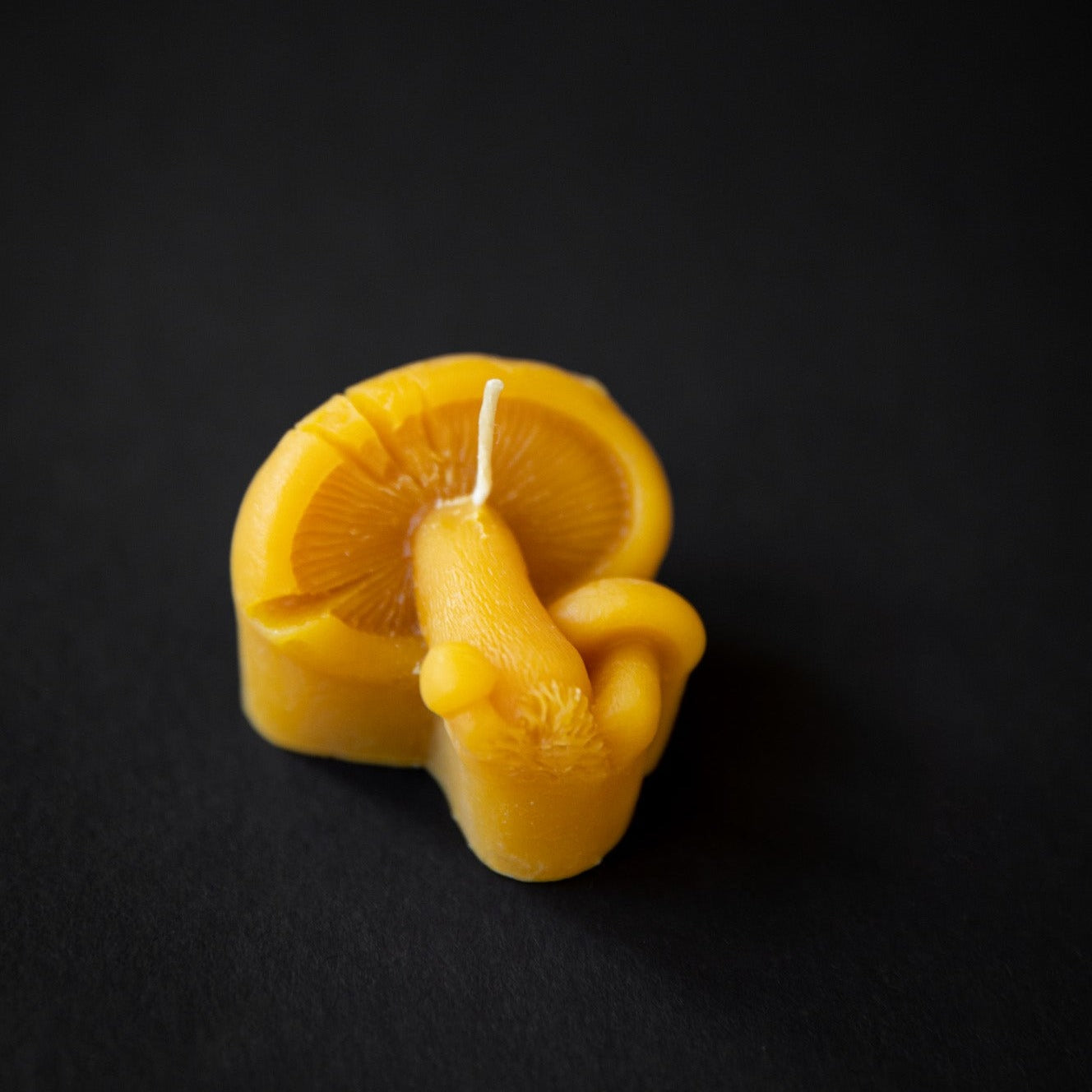 Mellowstone Mushroom