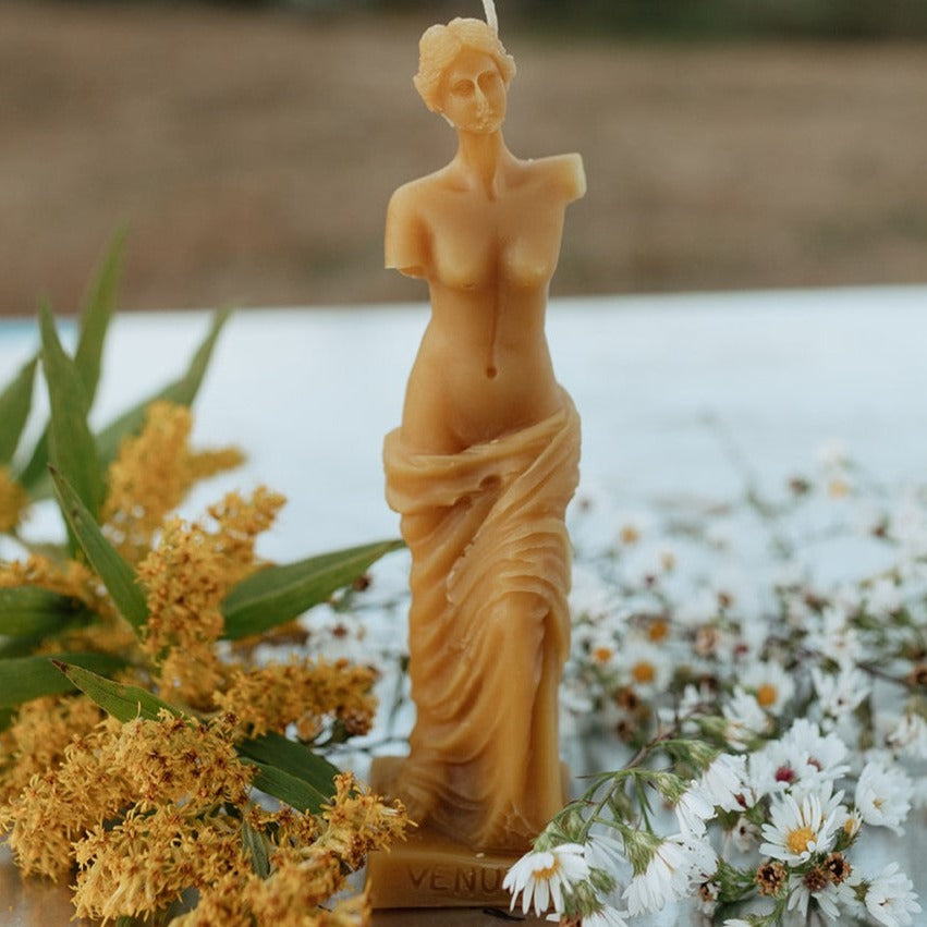 Venus de Milo – The Charmer Bee Co.