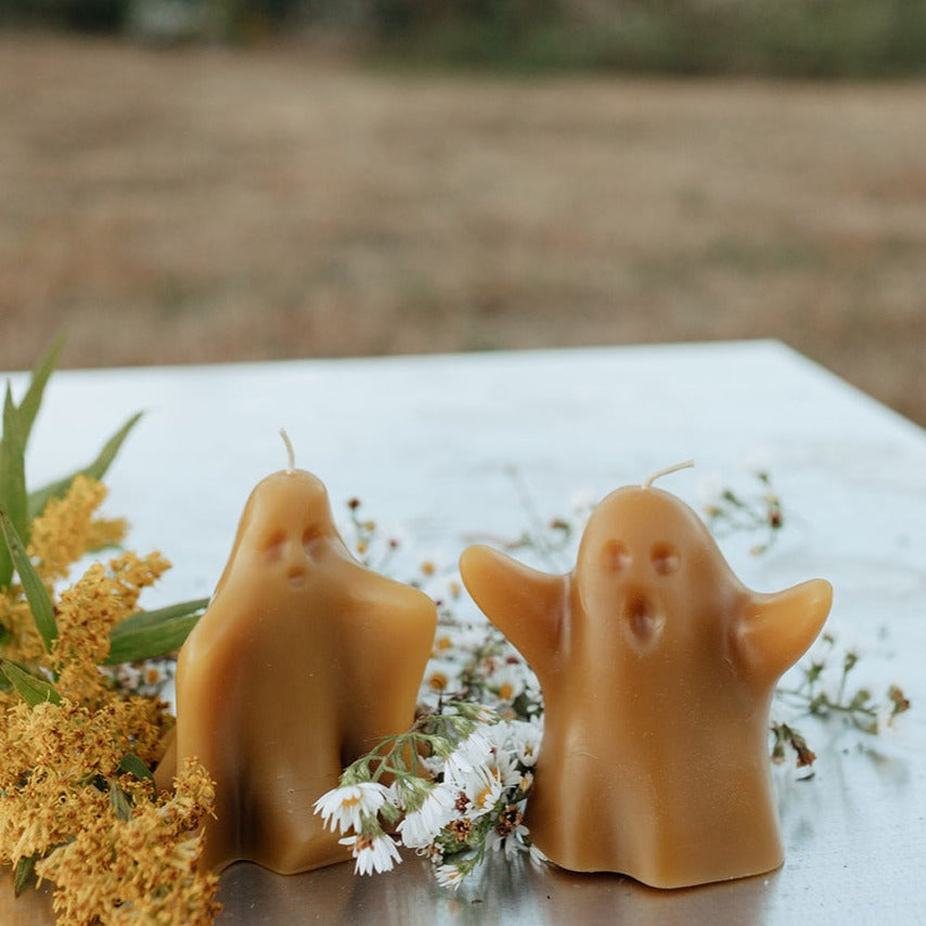 Playing in the Sheets